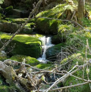 Bayerischer Wald: Bachlauf am Dreisessel
